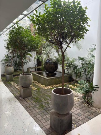 Commercial / Office Space for Rent in Thalawathugoda | LKR 800,000 Per Month (CP4927)-17