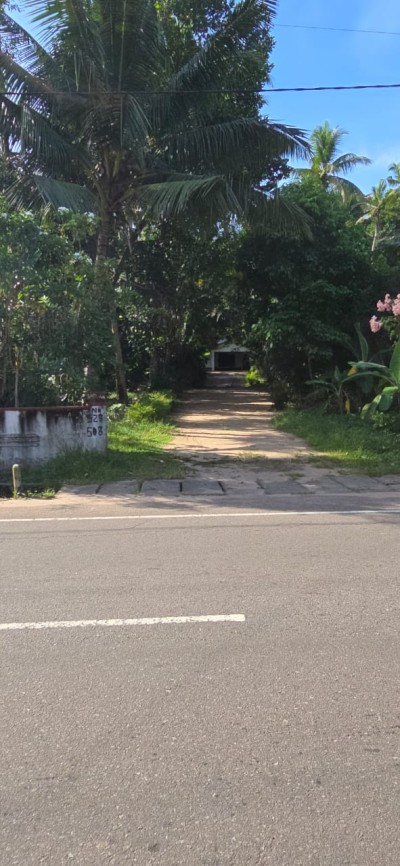 142 Perch Prime Investment Property for Sale in Palugahawela | LKR 600,000 Per Perch (Negotiable) (LA4923)