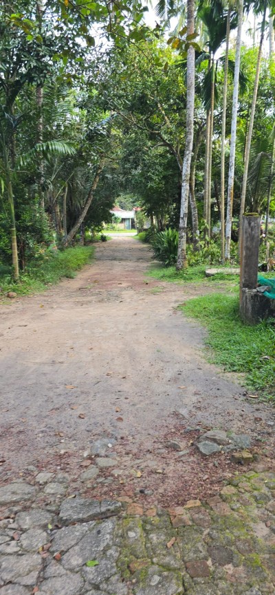 142 Perch Prime Investment Property for Sale in Palugahawela | LKR 600,000 Per Perch (Negotiable) (LA4923)-22