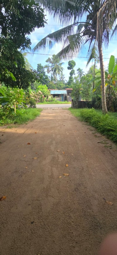 142 Perch Prime Investment Property for Sale in Palugahawela | LKR 600,000 Per Perch (Negotiable) (LA4923)-19