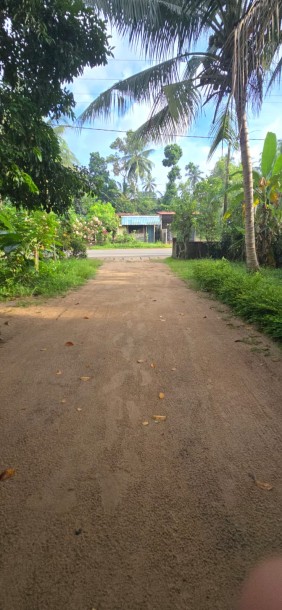 142 Perch Prime Investment Property for Sale in Palugahawela | LKR 600,000 Per Perch (Negotiable) (LA4923)-19