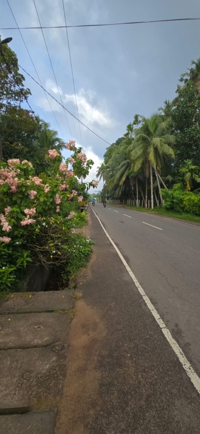 142 Perch Prime Investment Property for Sale in Palugahawela | LKR 600,000 Per Perch (Negotiable) (LA4923)-15