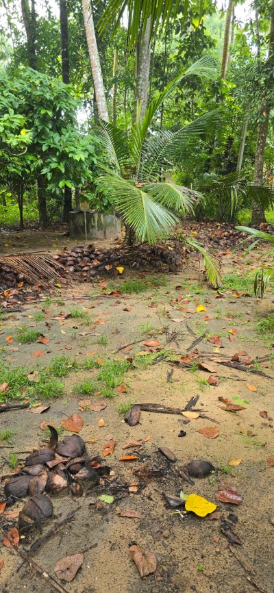 142 Perch Prime Investment Property for Sale in Palugahawela | LKR 600,000 Per Perch (Negotiable) (LA4923)-14