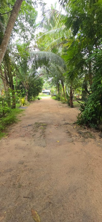 142 Perch Prime Investment Property for Sale in Palugahawela | LKR 600,000 Per Perch (Negotiable) (LA4923)-13