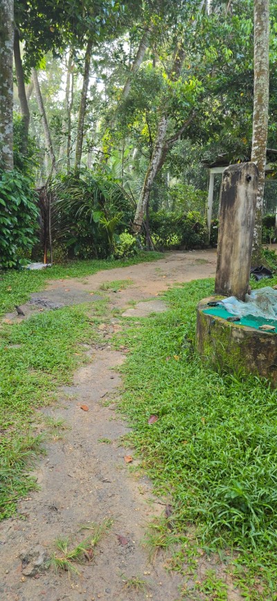 142 Perch Prime Investment Property for Sale in Palugahawela | LKR 600,000 Per Perch (Negotiable) (LA4923)-12