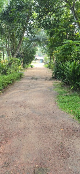 142 Perch Prime Investment Property for Sale in Palugahawela | LKR 600,000 Per Perch (Negotiable) (LA4923)-11