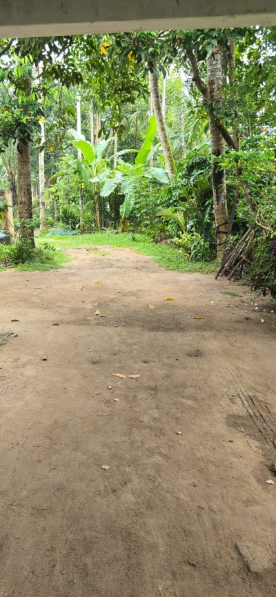 142 Perch Prime Investment Property for Sale in Palugahawela | LKR 600,000 Per Perch (Negotiable) (LA4923)-10