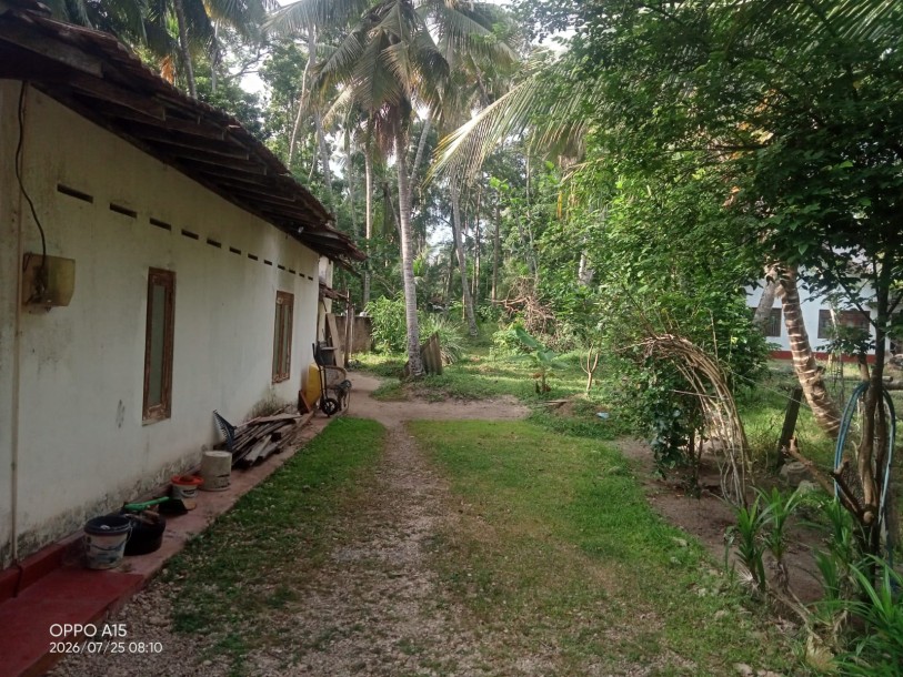 142 Perch Prime Investment Property for Sale in Palugahawela | LKR 600,000 Per Perch (Negotiable) (LA4923)-8