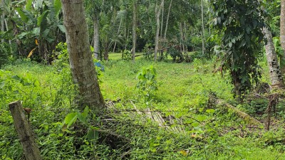 142 Perch Prime Investment Property for Sale in Palugahawela | LKR 600,000 Per Perch (Negotiable) (LA4923)-2