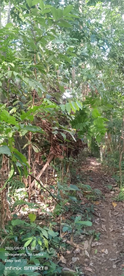 Land for Sale in Galle | LKR 728 Million (LA4950)-2