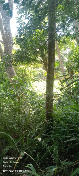 Land for Sale in Galle | LKR 728 Million (LA4950)-1