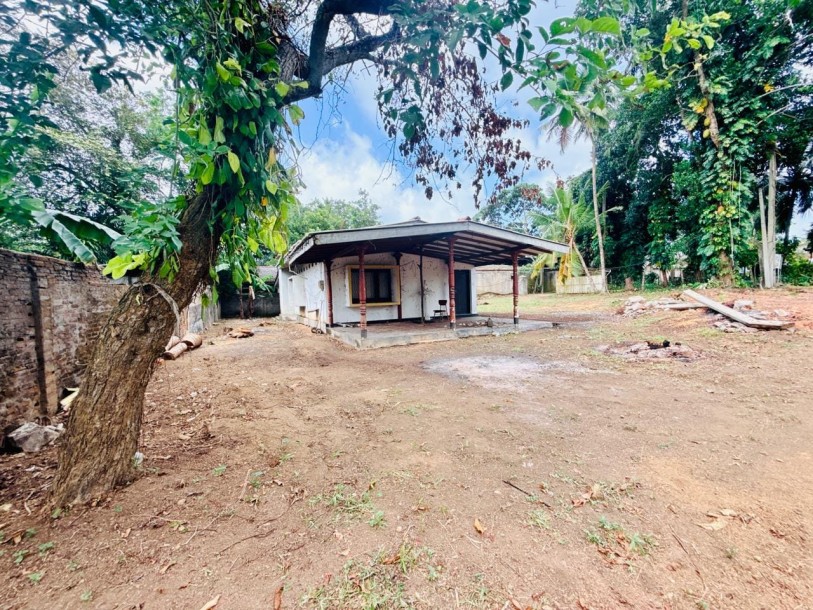 Land for Sale | 98.25 Perches | Maharagama | LKR 7.5 Million Per Perch (LA4958)-4