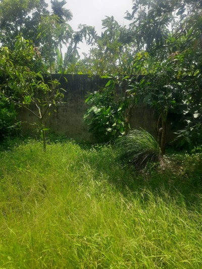 Land for Sale in Rathanapitiya | LKR 3.5 Million Per Perch (LA4982)-5