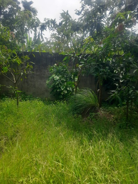 Land for Sale in Rathanapitiya | LKR 3.5 Million Per Perch (LA4982)-3