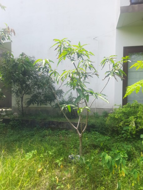 Land for Sale in Rathanapitiya | LKR 3.5 Million Per Perch (LA4982)-1