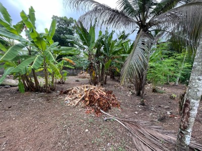 Land for Sale in Kadawatha | LKR 50 Million (LA4980)-2