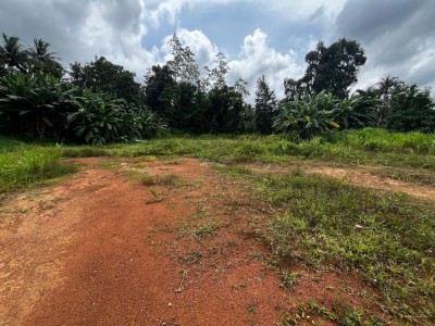 250 Perches Land for Rent in Kiriwaththuduwa, Homagama | LKR 300,000/Month (LA4992)-5