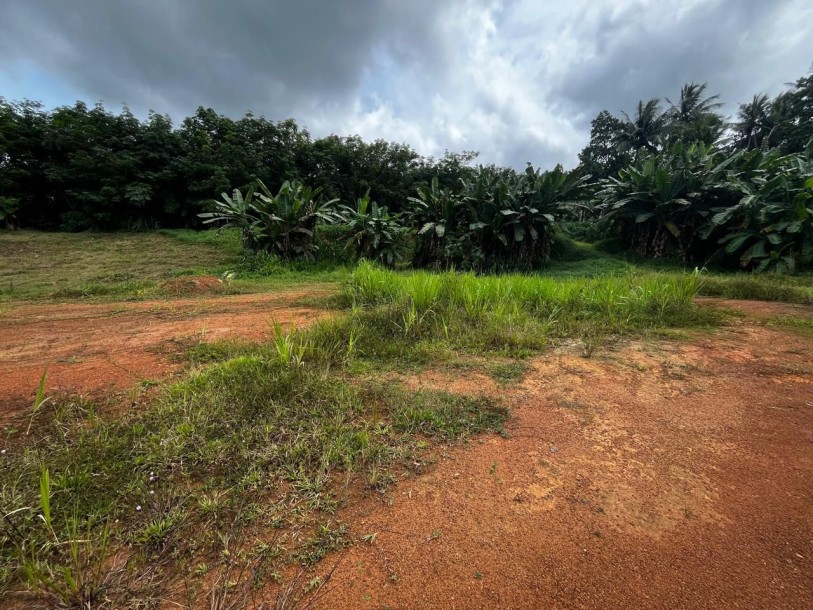 250 Perches Land for Rent in Kiriwaththuduwa, Homagama | LKR 300,000/Month (LA4992)-6