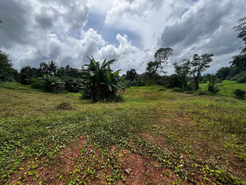 250 Perches Land for Rent in Kiriwaththuduwa, Homagama | LKR 300,000/Month (LA4992)-4