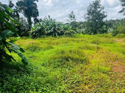 250 Perches Land for Rent in Kiriwaththuduwa, Homagama | LKR 300,000/Month (LA4992)-3