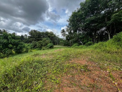 250 Perches Land for Rent in Kiriwaththuduwa, Homagama | LKR 300,000/Month (LA4992)-2