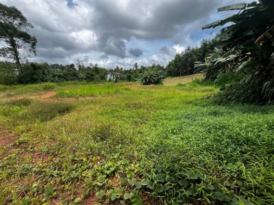 250 Perches Land for Rent in Kiriwaththuduwa, Homagama | LKR 300,000/Month (LA4992)