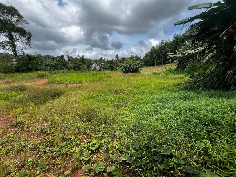 250 Perches Land for Rent in Kiriwaththuduwa, Homagama | LKR 300,000/Month (LA4992)-1