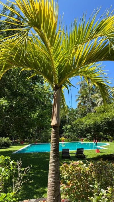 Colonial Villa for Sale in Ginigala – Villa Sepalika | USD 850,000 (VL5029)-11