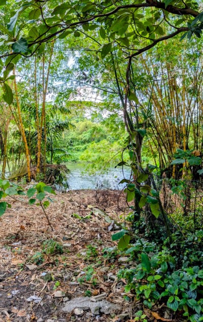 20 Perch Waterfront Land for Sale in Nawala | LKR 120 Million (Negotiable) (LA5018)-4