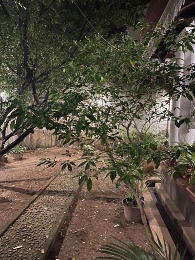 Antique Colonial Villa for Sale in Colombo 07 | Investment LKR 950 Million (VL5010)-6