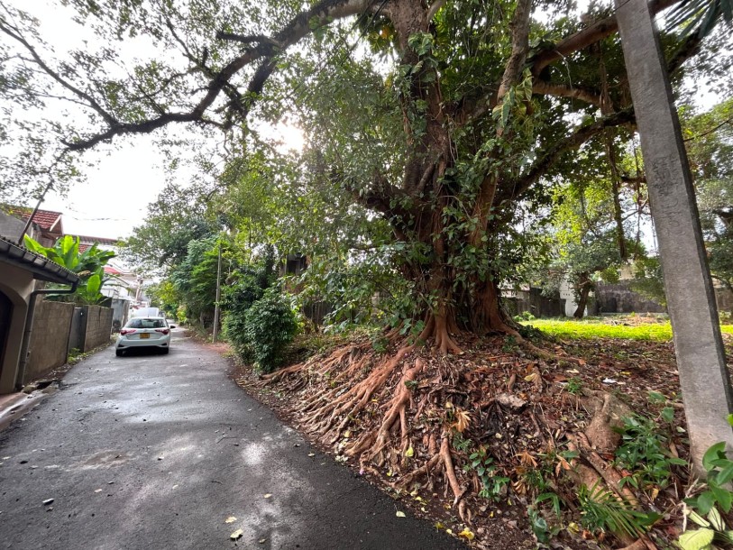 38 Perches Land for Sale in Colombo 06, Off Havelock Road | LKR 8 Million Per Perch  (LA5009)-2