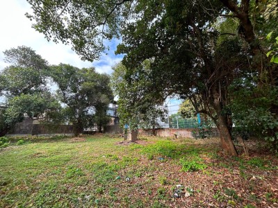 38 Perches Land for Sale in Colombo 06, Off Havelock Road | LKR 8 Million Per Perch  (LA5009)