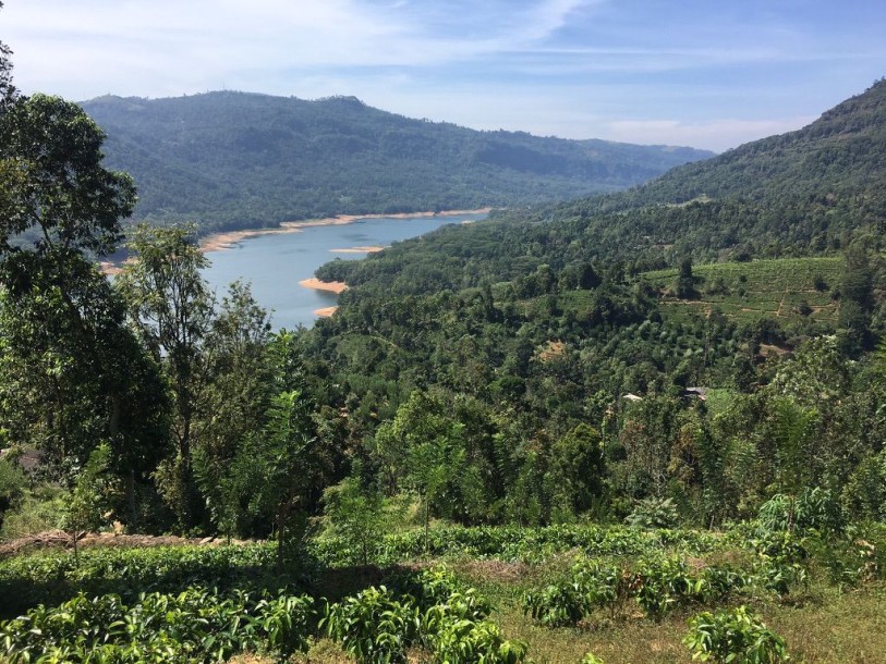 6.5 Acres Land for Sale in Ramboda, Nuwara Eliya | LKR 55 Million  (LA5015)-3
